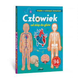 Człowiek od stóp do głów....